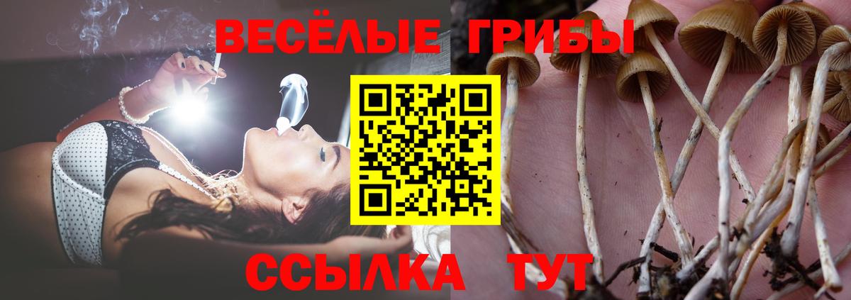 Псилоцибиновые грибы ЛСД  Вход с VPN  Галлюциногенные грибы MAGIC MUSHROOMS  Мытищи 