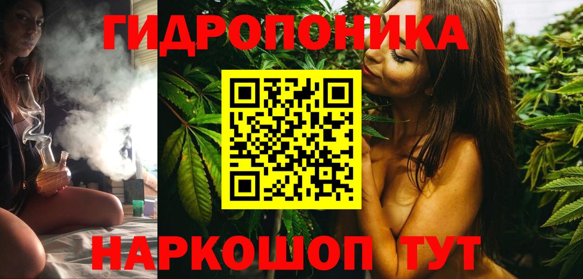 Шишки марихуана Bruce Banner  Марихуана план  Вход с VPN  Мытищи 